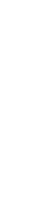 Perspective Decorative Circle